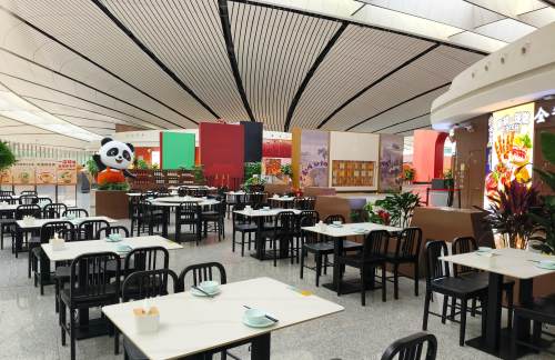 北京大兴国际机场全牛匠