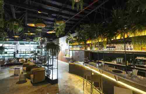SDQSKY The Lounge